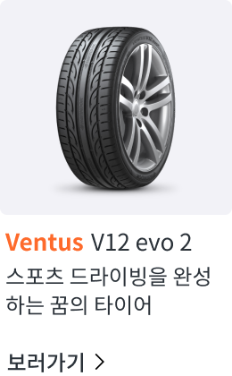 Ventus V12 evo2